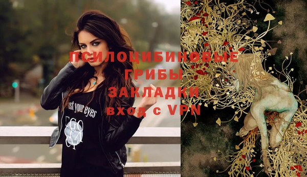 дживик Алексеевка